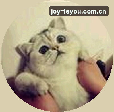 郑强